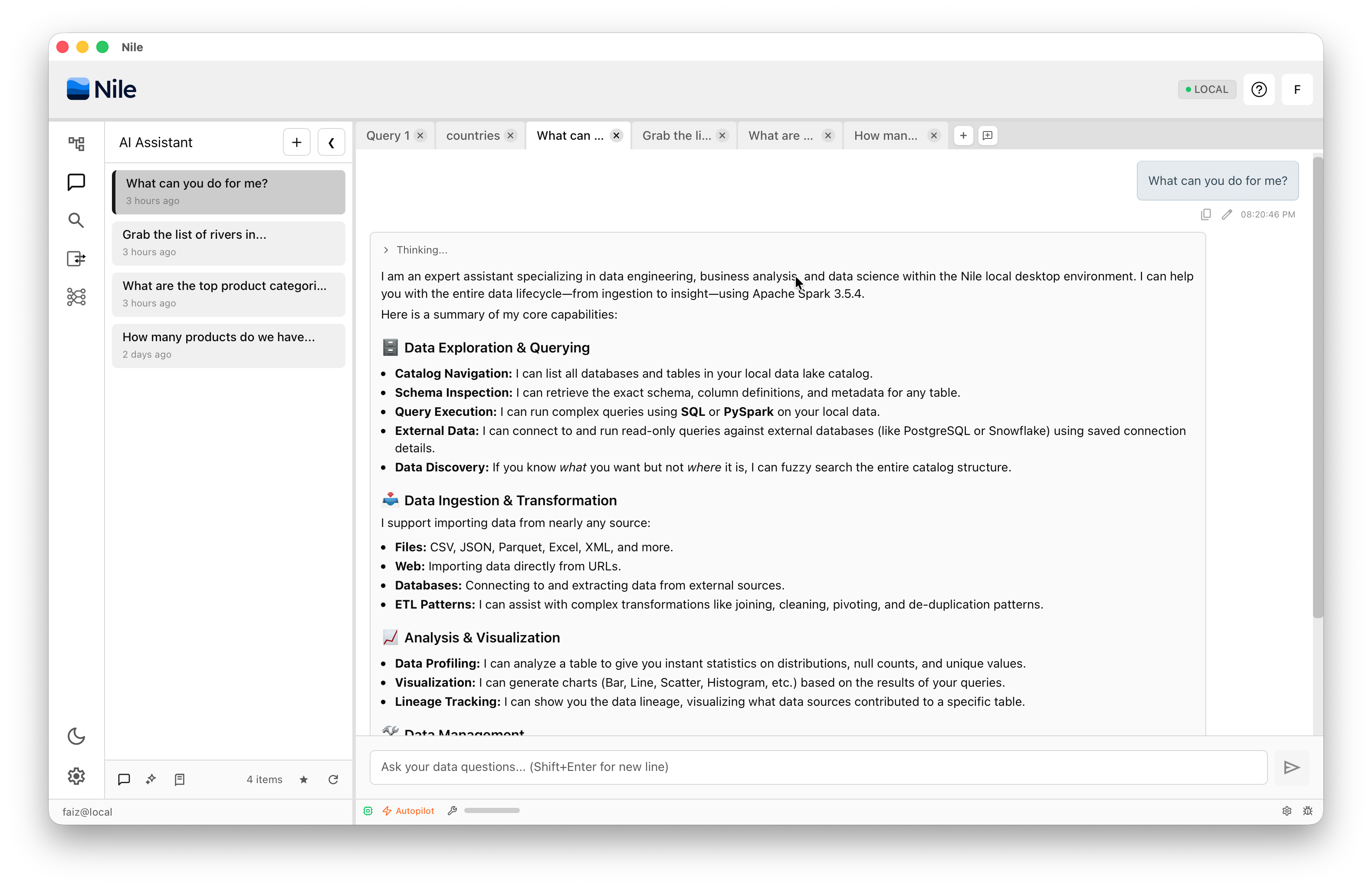 Nile Local — AI assistant capabilities