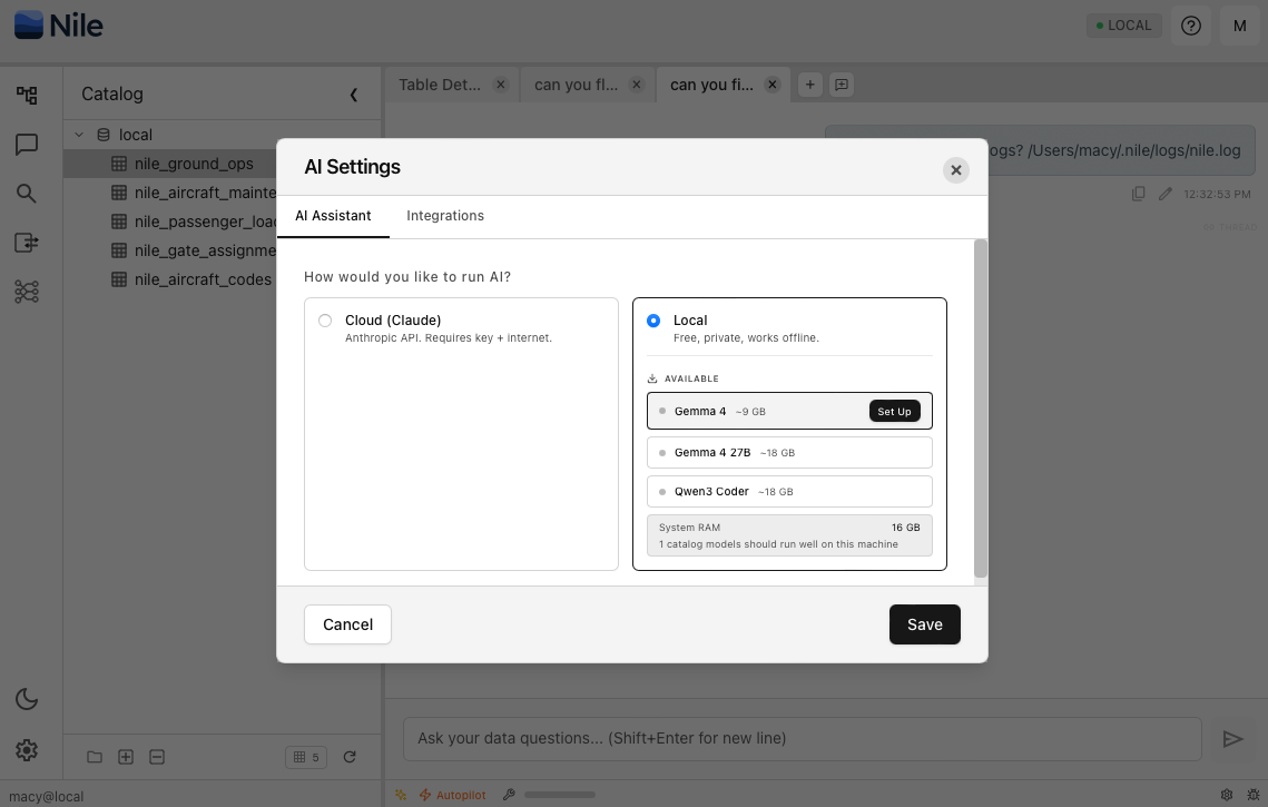 Nile Local — AI settings panel